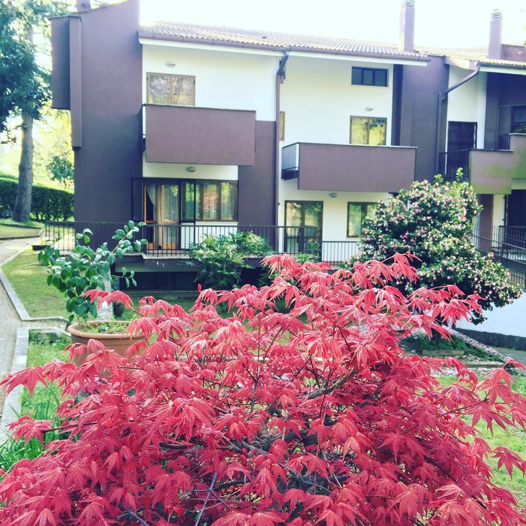 Maison 3G Ariccia Dış mekan fotoğraf